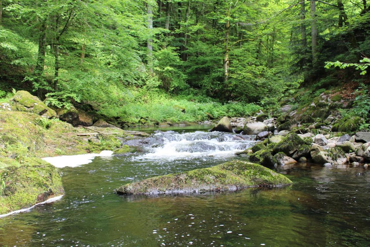 Ferienwohnung Hofleben Reiner Neukirchen vorm Wald Екстер'єр фото